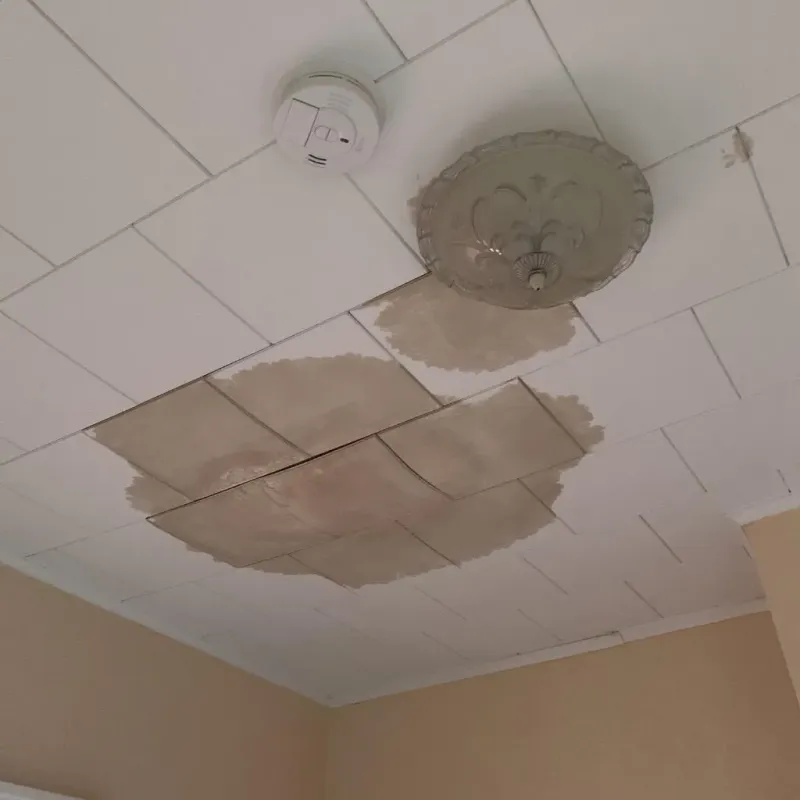Ceiling Water Damage Repair in Notre Dame, IN