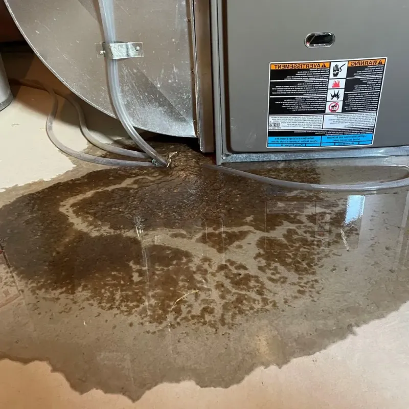 Pipe Burst and Leak Restoration in Notre Dame, IN